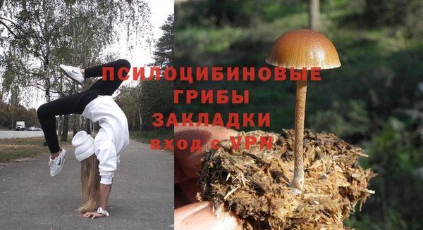 каннабис Богданович
