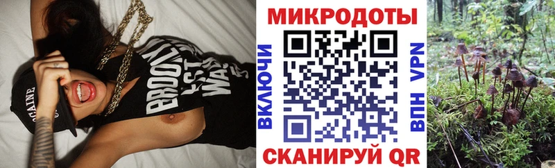 Купить  Дно  Галлюциногенные грибы GOLDEN TEACHER 